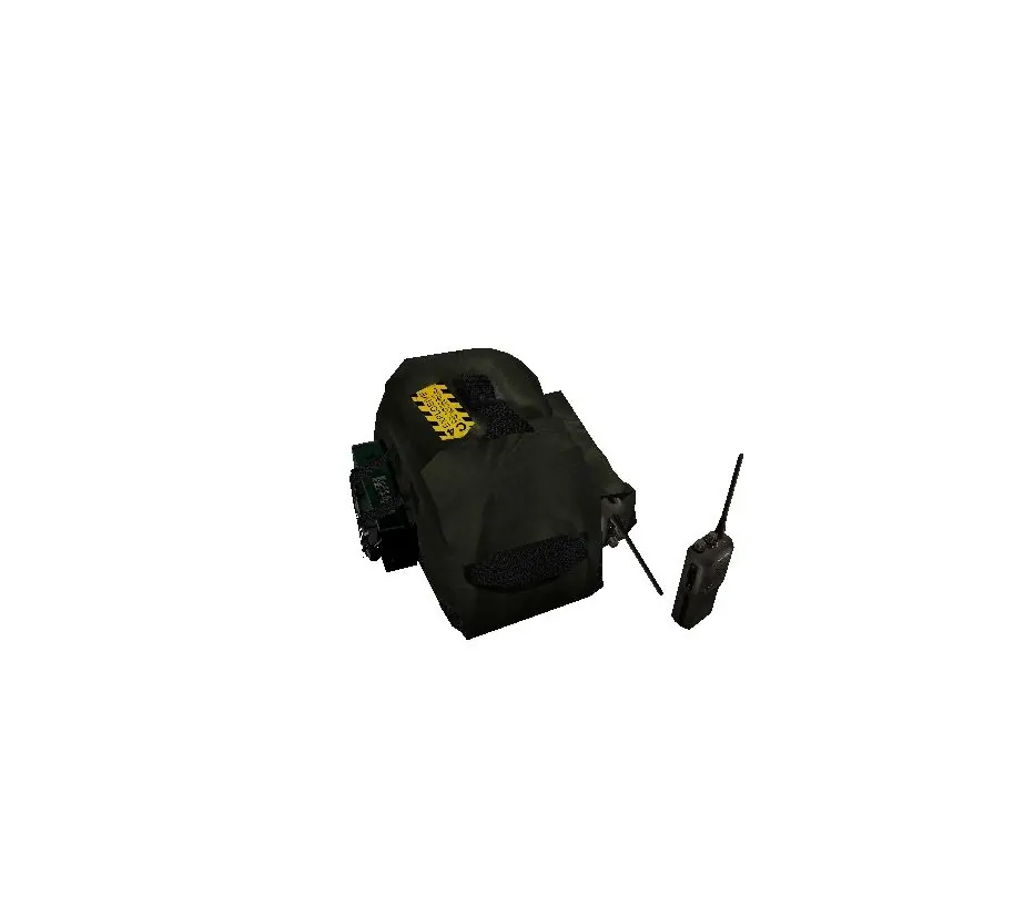 Модель Backpack Partial reskin and hack