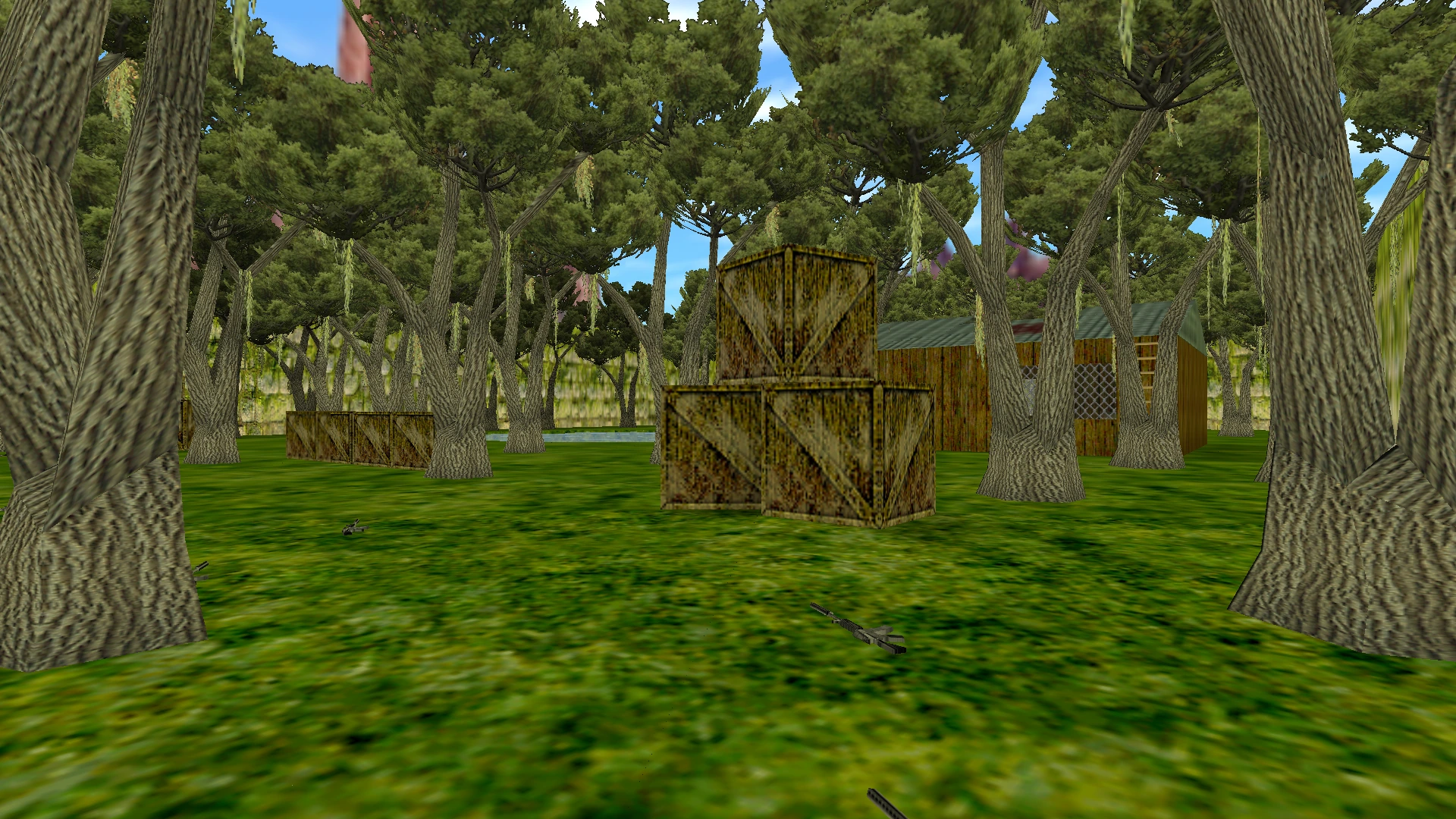 Карта aim_satteam_forest