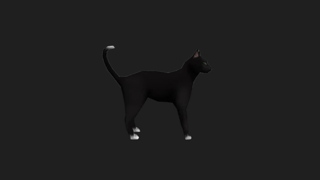 Black Cat for Chicken — изображение 1