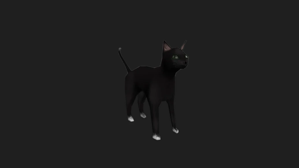 Black Cat for Chicken — изображение 2