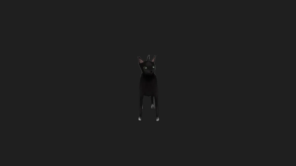 Black Cat for Chicken — изображение 3