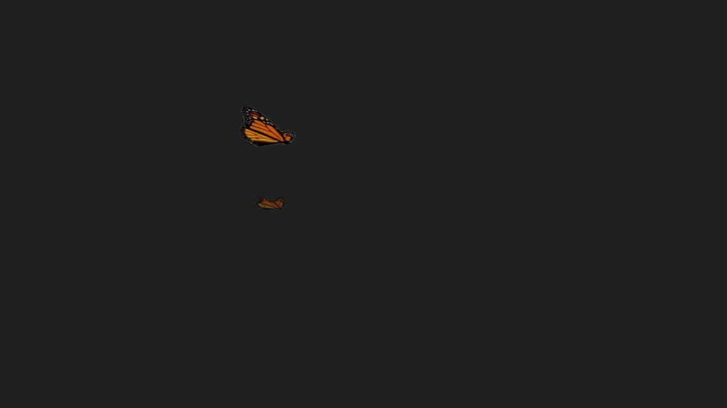 Butterfly — изображение 1