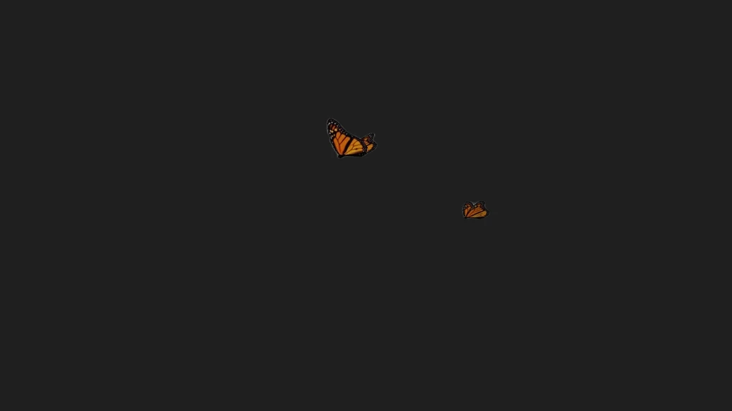 Butterfly — изображение 2