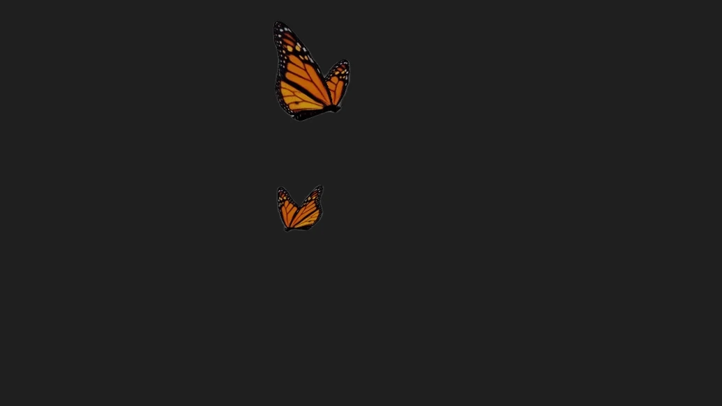Butterfly — изображение 3