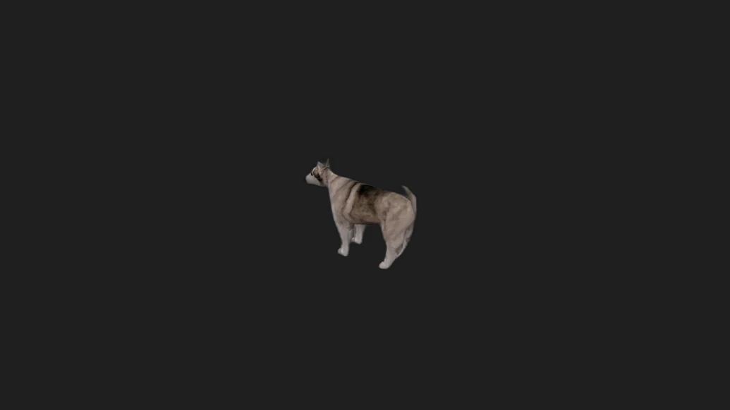 Doggie — изображение 3
