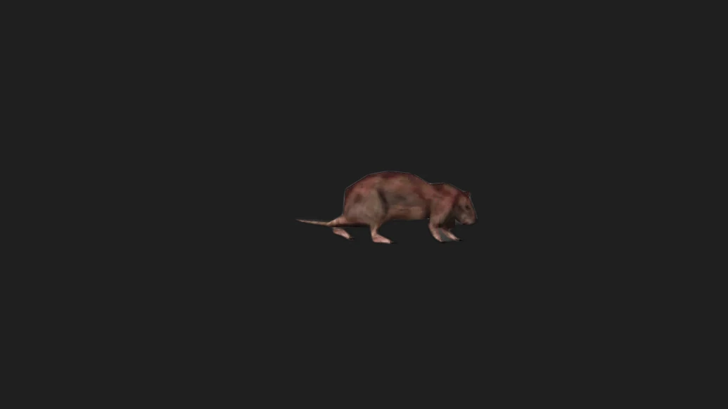 HL1 Rat — изображение 2