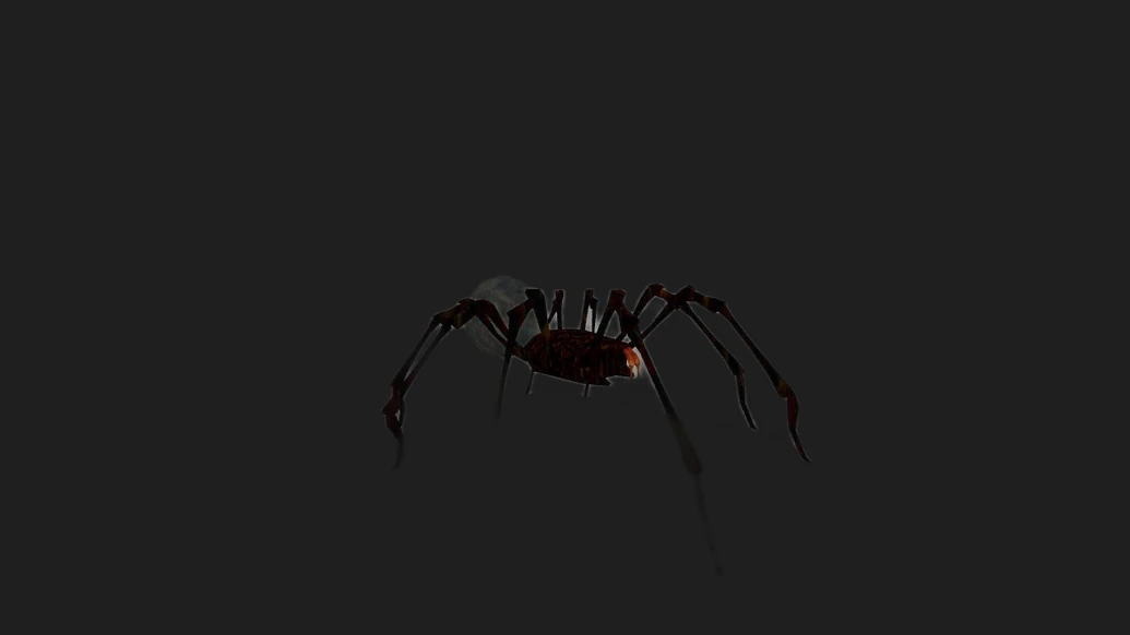 Huge Spider — изображение 2