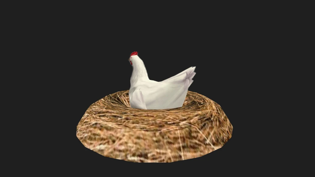 Nest Chicken — изображение 3