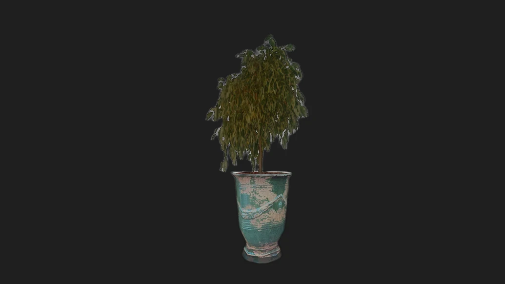 Plant — изображение 2