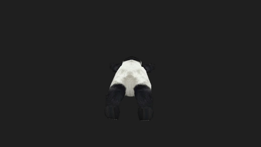 Sleeping Baby Panda — изображение 3