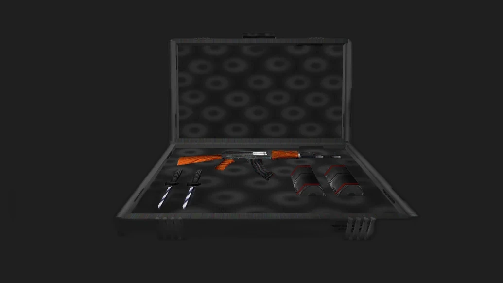 Weapon Case